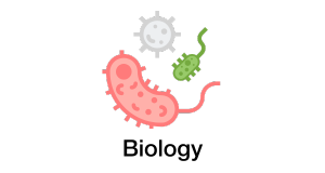 Bio Bio