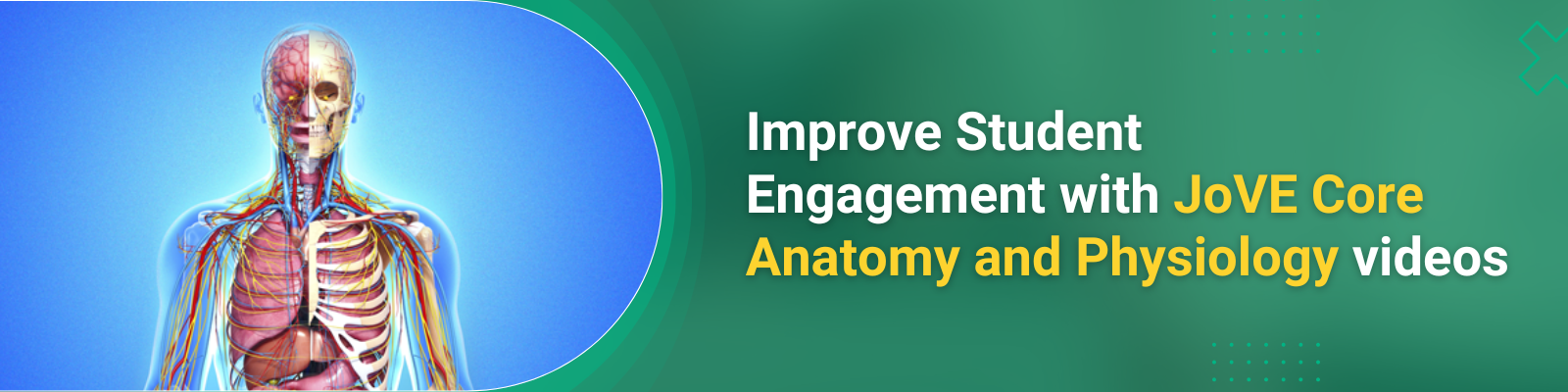 JoVE Core_Anatomy and Physiology Unit II_LP Banner for Sunil_1600x500_2024_05_03 (1600 x 400 px)(2)