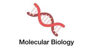 Molecular Bio Molecular Bio