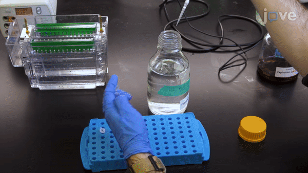 ezgif.com-video-to-gif(10)