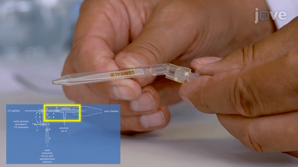 ezgif.com-video-to-gif(12)