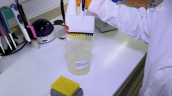 ezgif.com-video-to-gif(6)